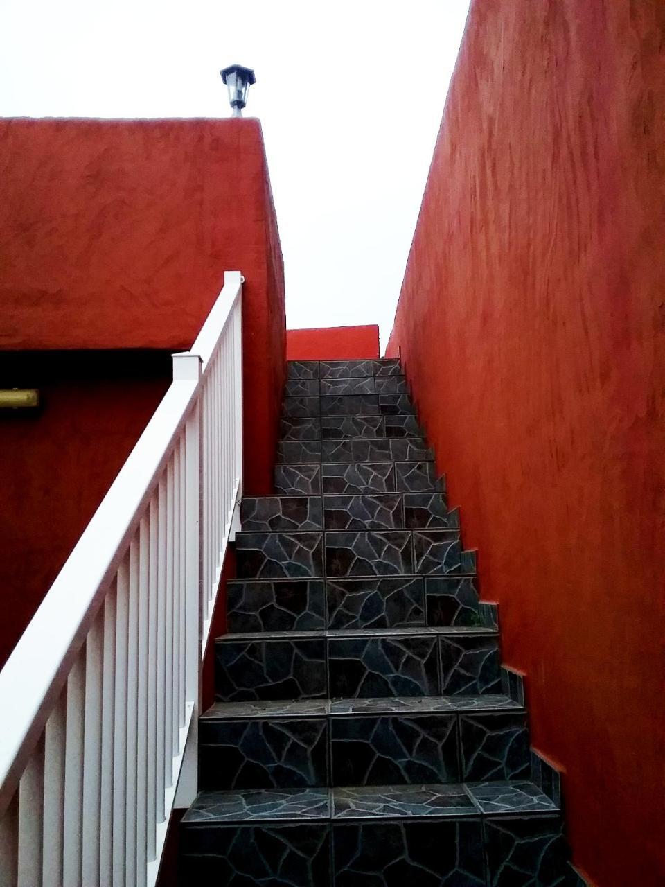 Apartamentos Trebol Mocanal المظهر الخارجي الصورة